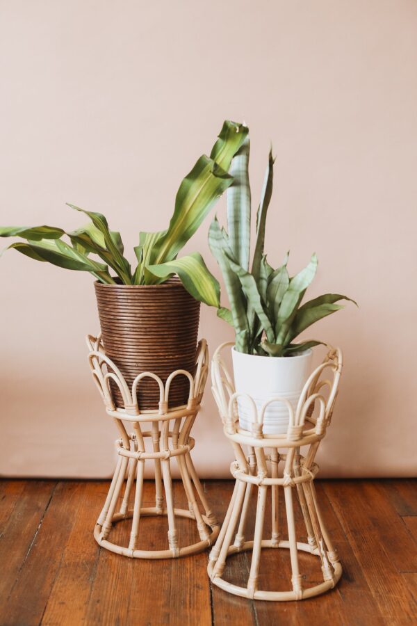 Handmade Rattan Plant Stand | Rattan Planter - Image 3