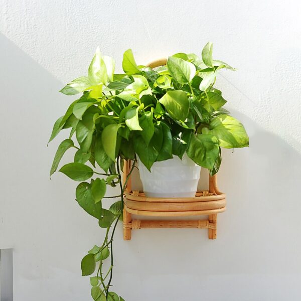 Handmade Rattan Wall Rack | Rattan Wall shelf - Image 4