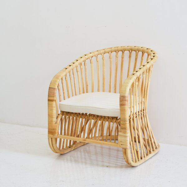 Handmade Rattan Double Swing | Rattan Chair | Rattan Mirror - Image 5