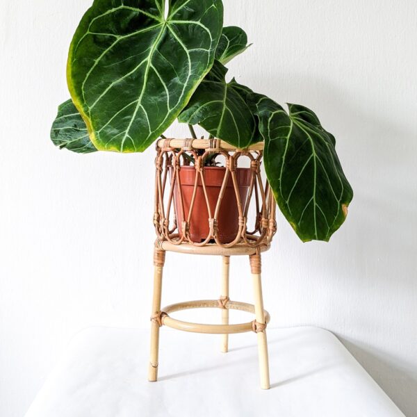 Handmade Rattan Plant Stand | Rattan Planter - Image 4